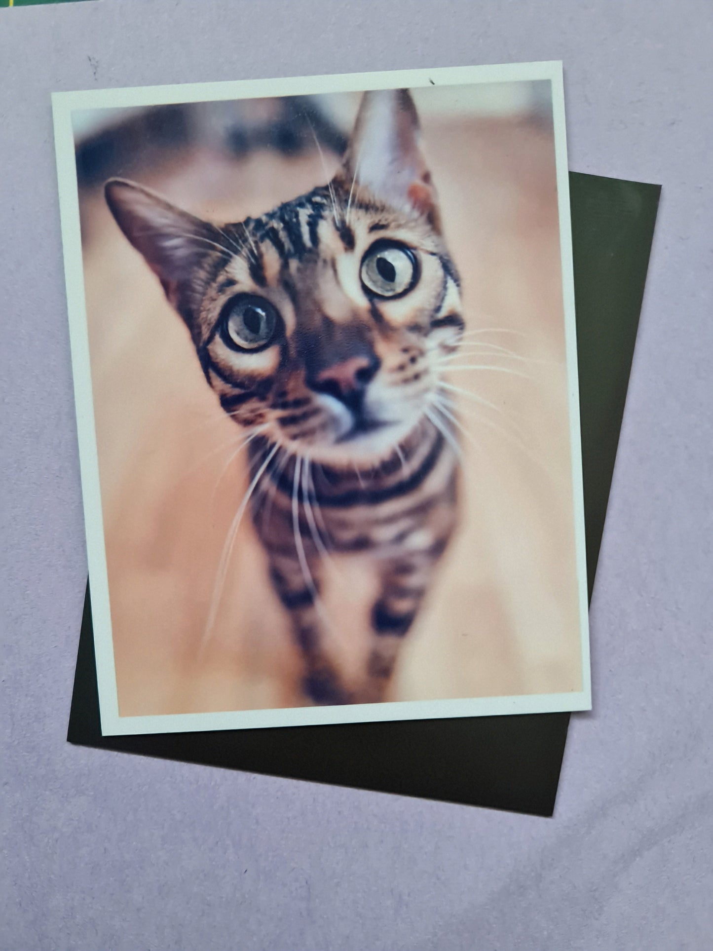 Picture Memory 🧲 Magnets set x 9